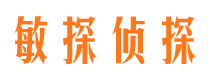 元坝市场调查